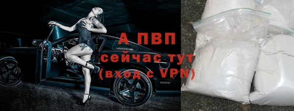 ешки Алексин