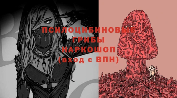 ешки Алексин